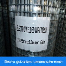 Electro Galvanized Coated Welded Wire Mesh/ Electro Zinc Coated Welded Wire Mesh
